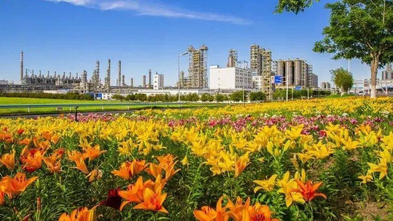 精细化工产品分类编码：解码复杂世界的一把钥匙