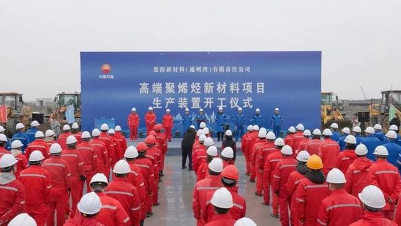 塑料原料价格行情：五大品牌深度对比解析**